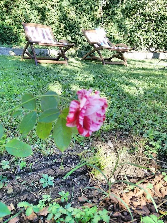 B&B Le Camelie Côme Italie