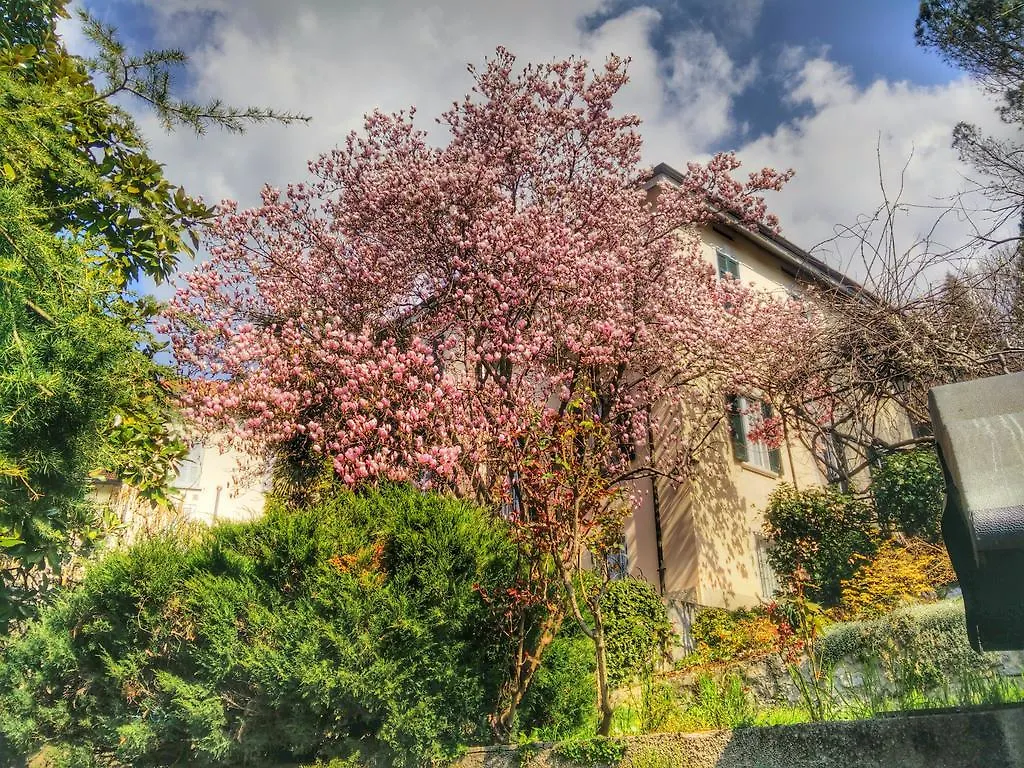 B&B Le Camelie Côme